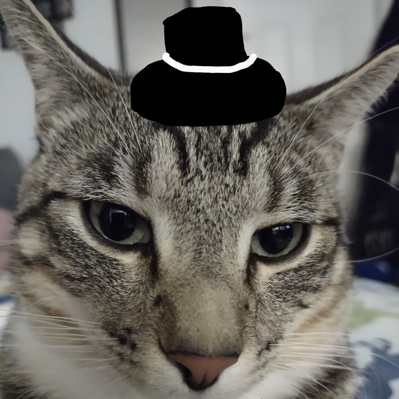 Meet your Posher, Andy - Picture 1 of 1